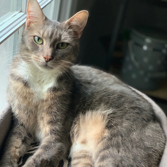 Meet your Posher, Ashlyn - Picture 1 of 1